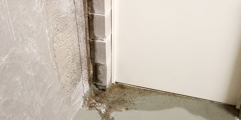Cracks in Your Foundation? You Might Need Water Leak Repair