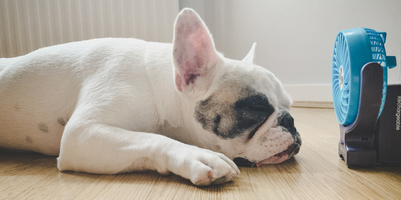 Air Conditioning Repair: Three Ways to Stay Cool While You Wait