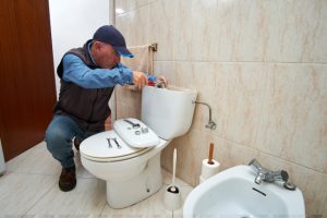 Three Signs You Need Toilet Repair Services