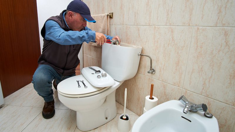 Three Signs You Need Toilet Repair Services